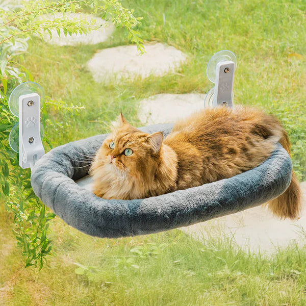 Foldable Cat Window Perch with 4 Strong Suction Cups, Cat's Stand